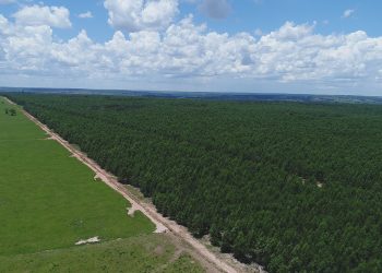 Controle patrimonial