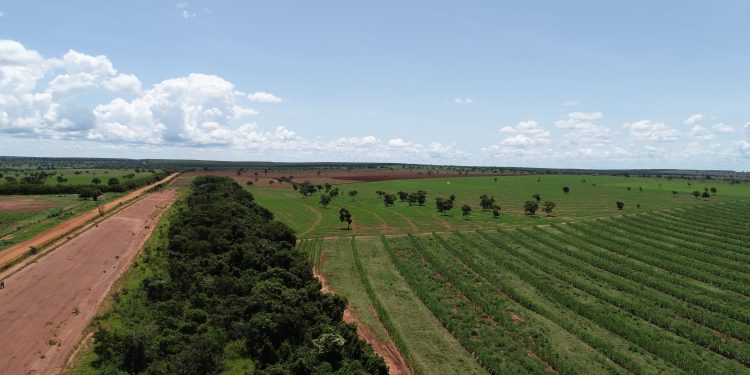 aptidão agrícola