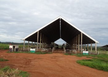 Coronavírus no mercado de imóveis