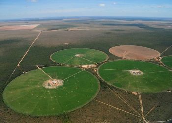 tecnologia e mudanças no mercado de trabalho