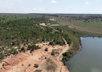 Perícia Ambiental e Florestal