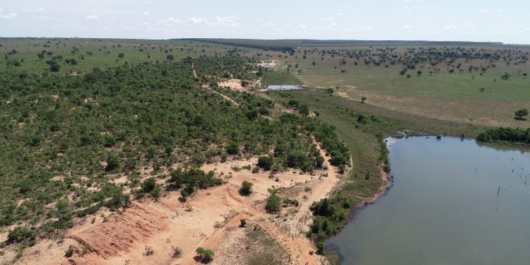 Perícia Ambiental e Florestal