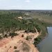 Perícia Ambiental e Florestal