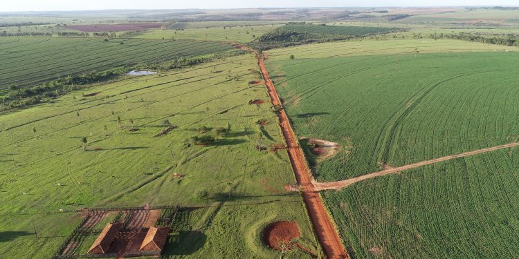 Perícia Agrária e Topográfica