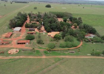 Perícia avaliatória