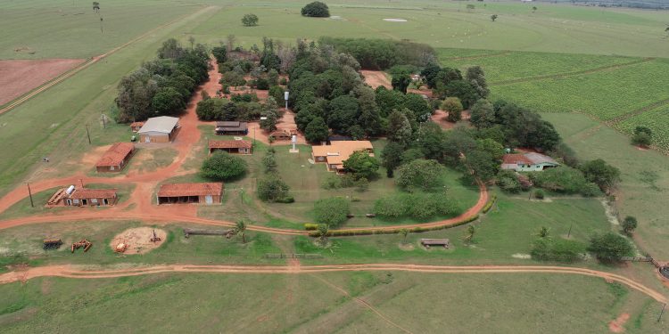 Perícia avaliatória